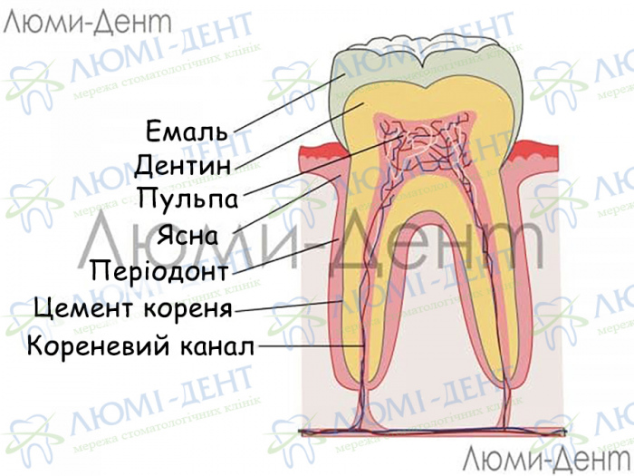 Зміцнення відновлення зубів зубної емалі Люмі-Дент
