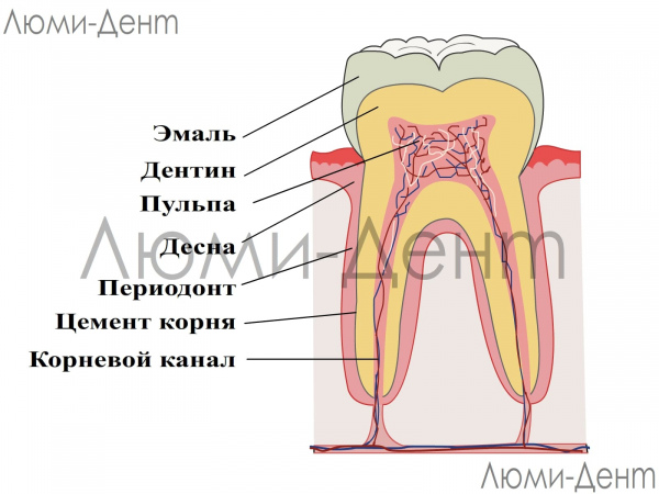 Восстановление зубной эмали зубов укрепление фото Люми-Дент