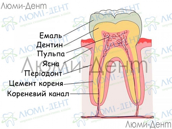відновлення емалі зубів фото Люмі-Дент