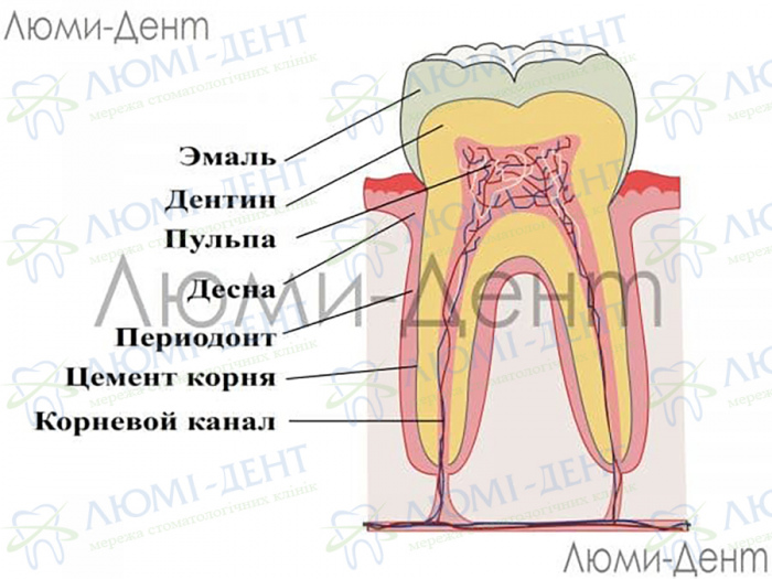 Укрепление зубной эмали фото ЛюмиДент