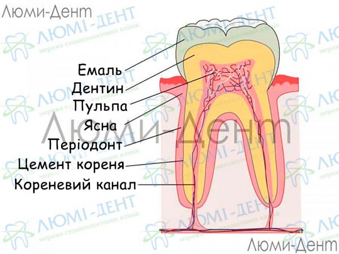 як відновити зубну емаль в домашніх умовах фото Люмі-Дент
