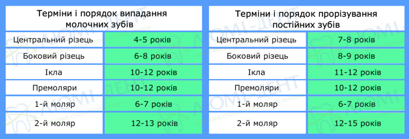 Порядок зміни молочних зубів фото Київ Люмі-Дент