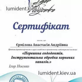 сертификат, стоматолог-терапевт Ермилова Анастасия Андреевна