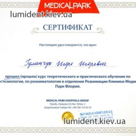 Сертификат Гуменчук Игорь Игоревич
