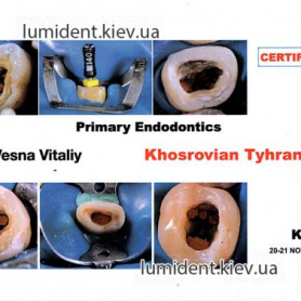 сертификаты, стоматолог Хосровян Тигран киев