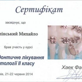 стоматолог Фалинский Михаил сертификат