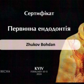 сертификат, стоматолог терапевт Жуков Богдан Александрович