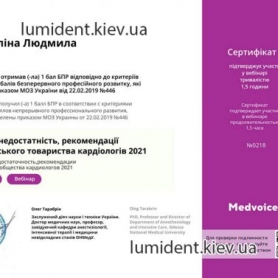 Сертификат Звездилина Людмила Стратоновна