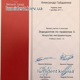 сертификат Гайдаенко Александр