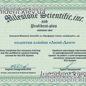 сертификат, киев Шаповалова Ирина