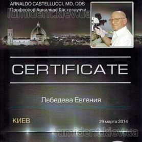 сертификат Лебедева Евгения