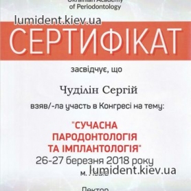 Чудилин Сергей Александрович сертификат имплантолог 