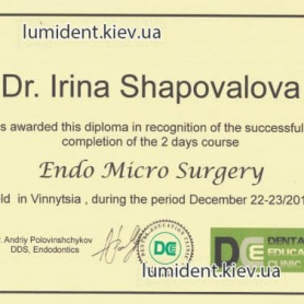 Шаповалова Ирина сертификат