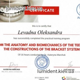 сертификат, стоматолог-ортодонт Левадная Александра Дмитриевна