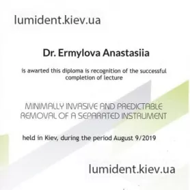 сертификат, терапевт Ермилова Анастасия Андреевна