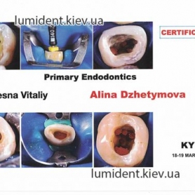 сертификат врача стоматолога, Джетимова Алина Игоревна
