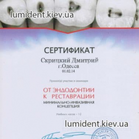 Скрицкий Дмитрий сертификат