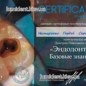 сертификат, стоматолог терапевт Нестеренко Гордей Сергеевич