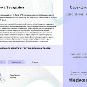 Сертификат Звездилина Людмила Стратоновна