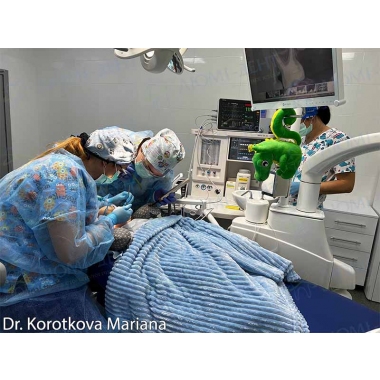 детский врач-стоматолог фото ЛюмиДент Короткова М.И.